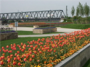 Bild19